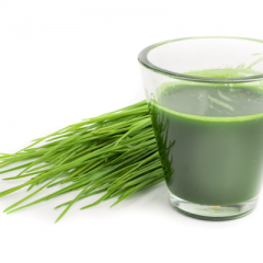 The Many Wonders Of Wheatgrass