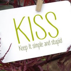 Streamlining Your Health: Applying the KISS Method