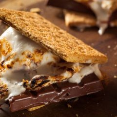 S’mores Energy Bites: A Delicious No-Bake Snack for Busy Days