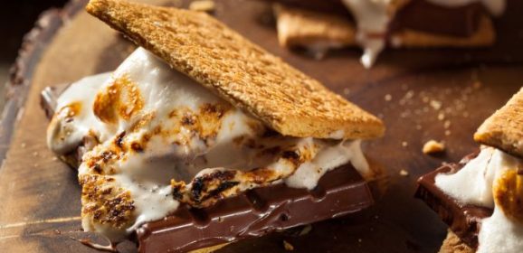 S’mores Energy Bites: A Delicious No-Bake Snack for Busy Days